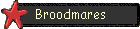 broodmares