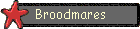 Broodmares