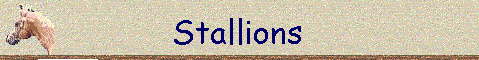 Stallions