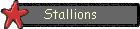 stallions